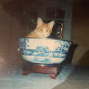 Meet your Posher, Drew